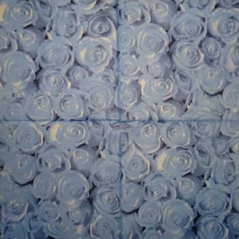 098 SOPO - 15 Stück